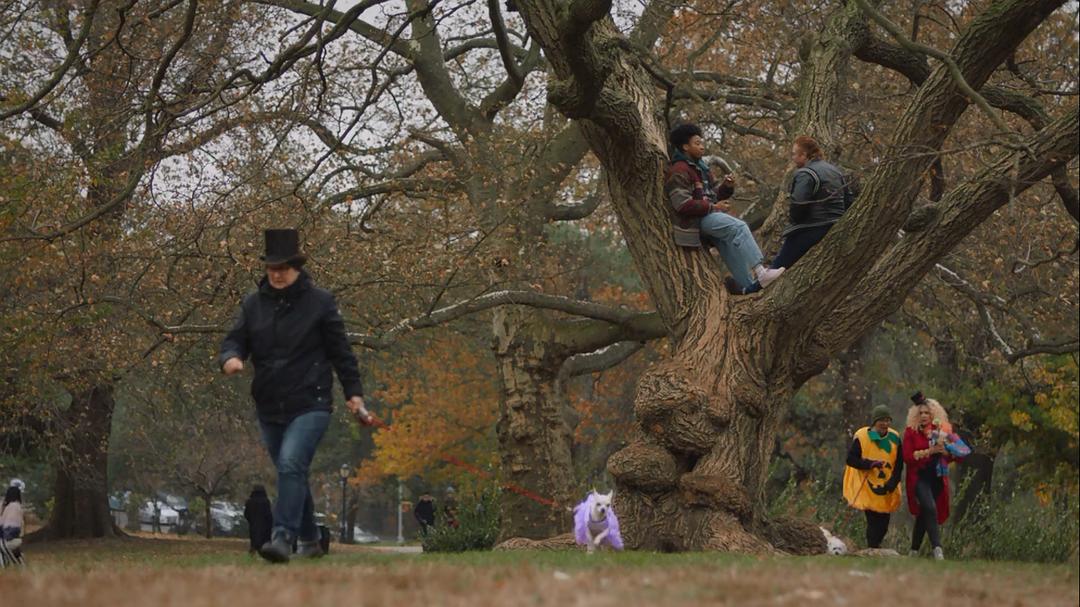 《难以伺候第四季》剧照第46张图片