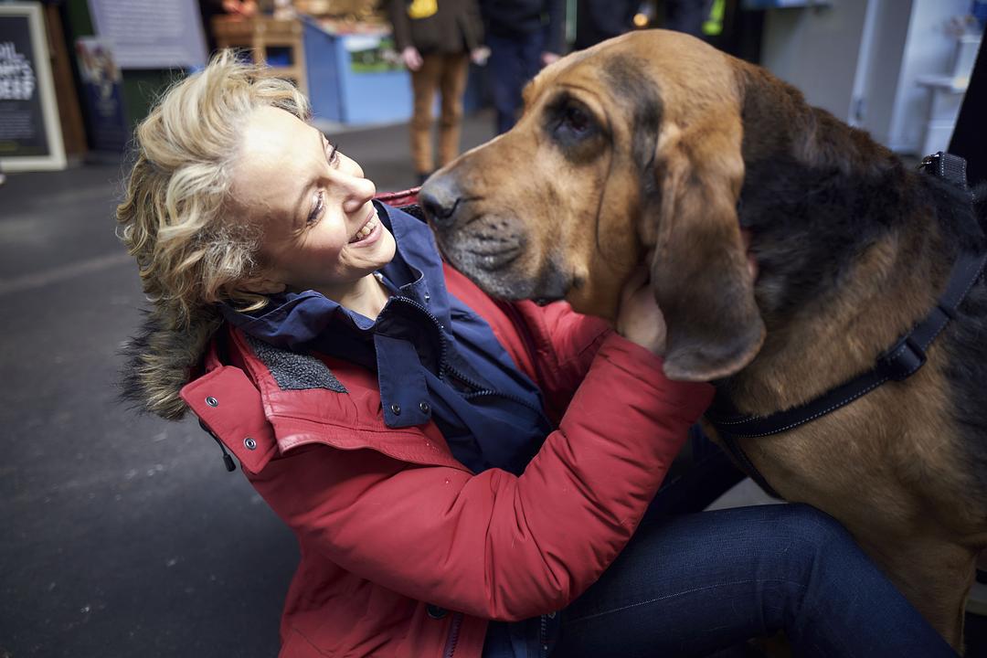 《神探夏洛克第四季》海报第17张图片
