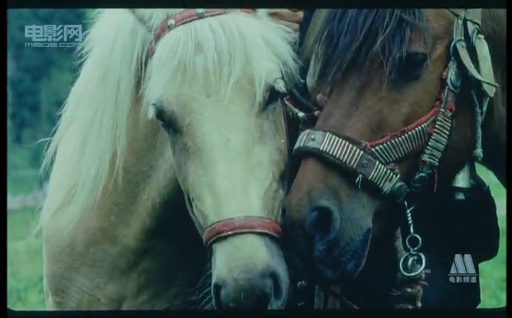 《香巴拉信使》剧照第7张图片