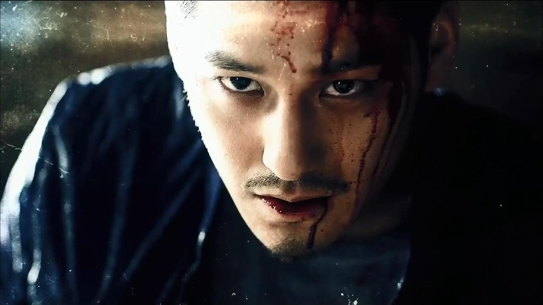 《隐藏身份》海报第17张图片