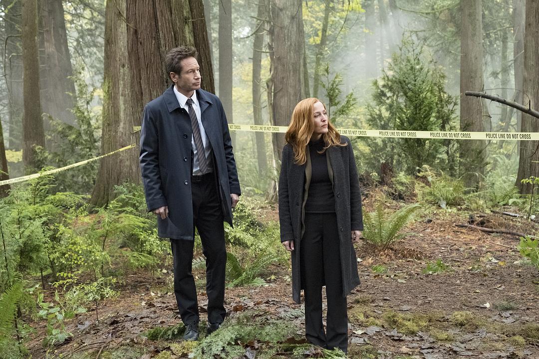 《X档案第十一季》剧照第5张图片