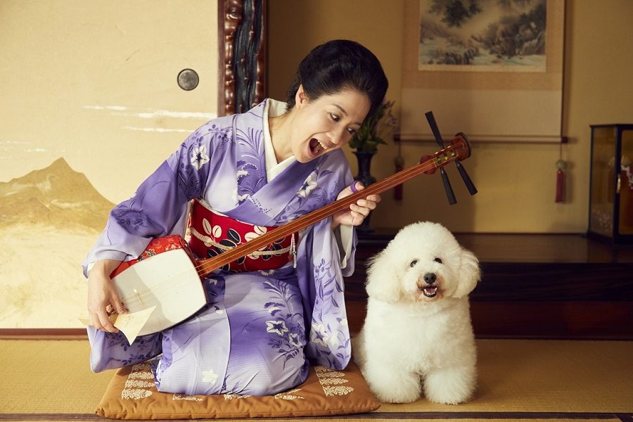 《我与尾巴与神乐坂》剧照