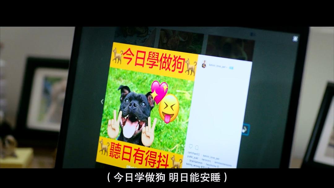 《向西闻记》剧照第35张图片