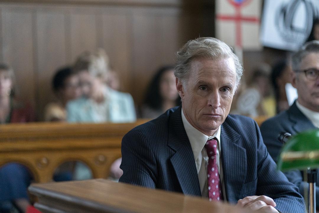 《美国夫人》海报第24张图片