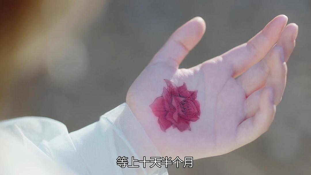 《天雷一部之春花秋月》剧照第39张图片