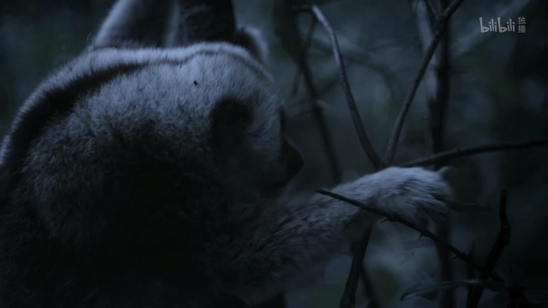 《未至之境》剧照第19张图片