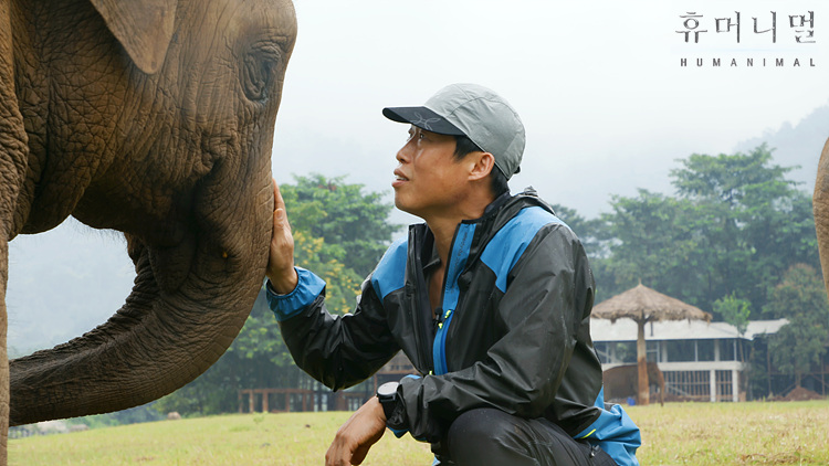 《人类-动物》海报第50张图片