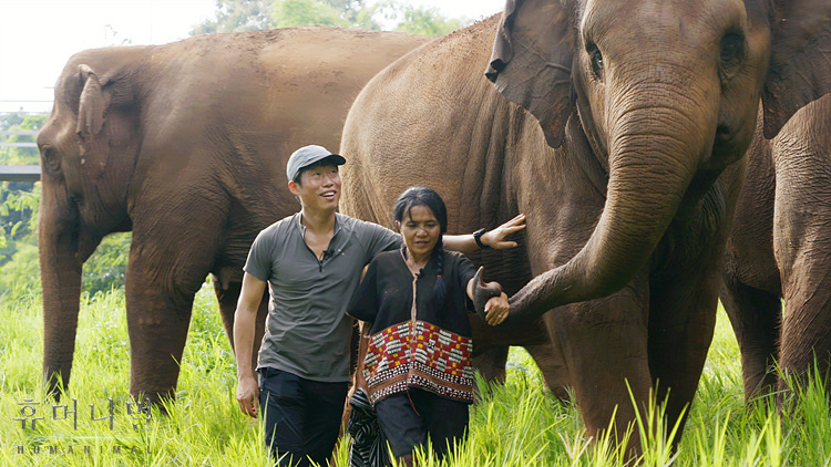《人类-动物》海报第4张图片
