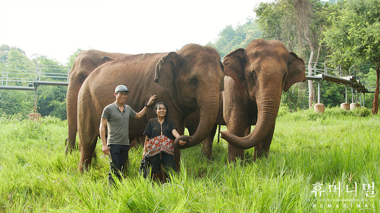 《人类-动物》海报第47张图片