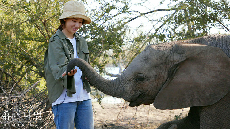 《人类-动物》海报第36张图片