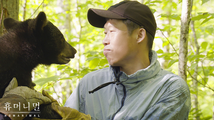 《人类-动物》海报第31张图片