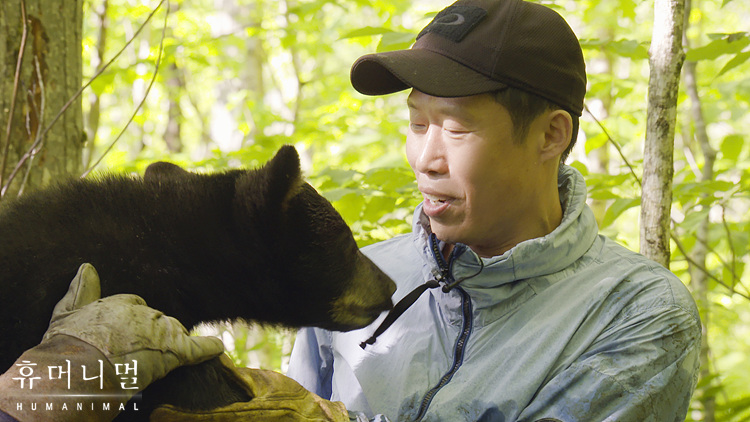 《人类-动物》海报第30张图片