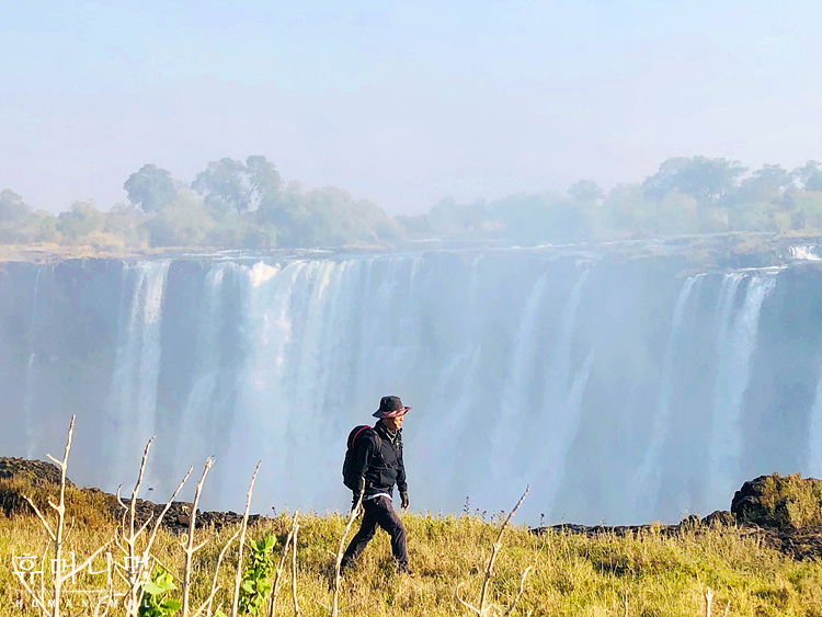 《人类-动物》海报第21张图片