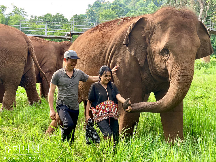 《人类-动物》海报第17张图片