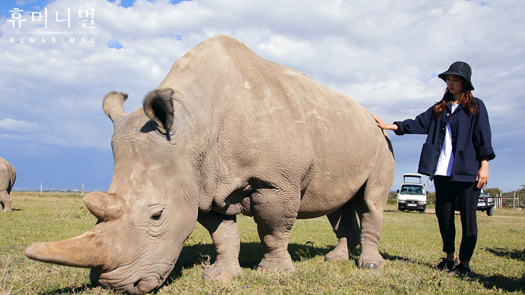 《人类-动物》海报第5张图片